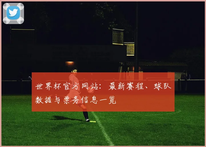 世界杯官方网站：最新赛程、球队数据与票务信息一览